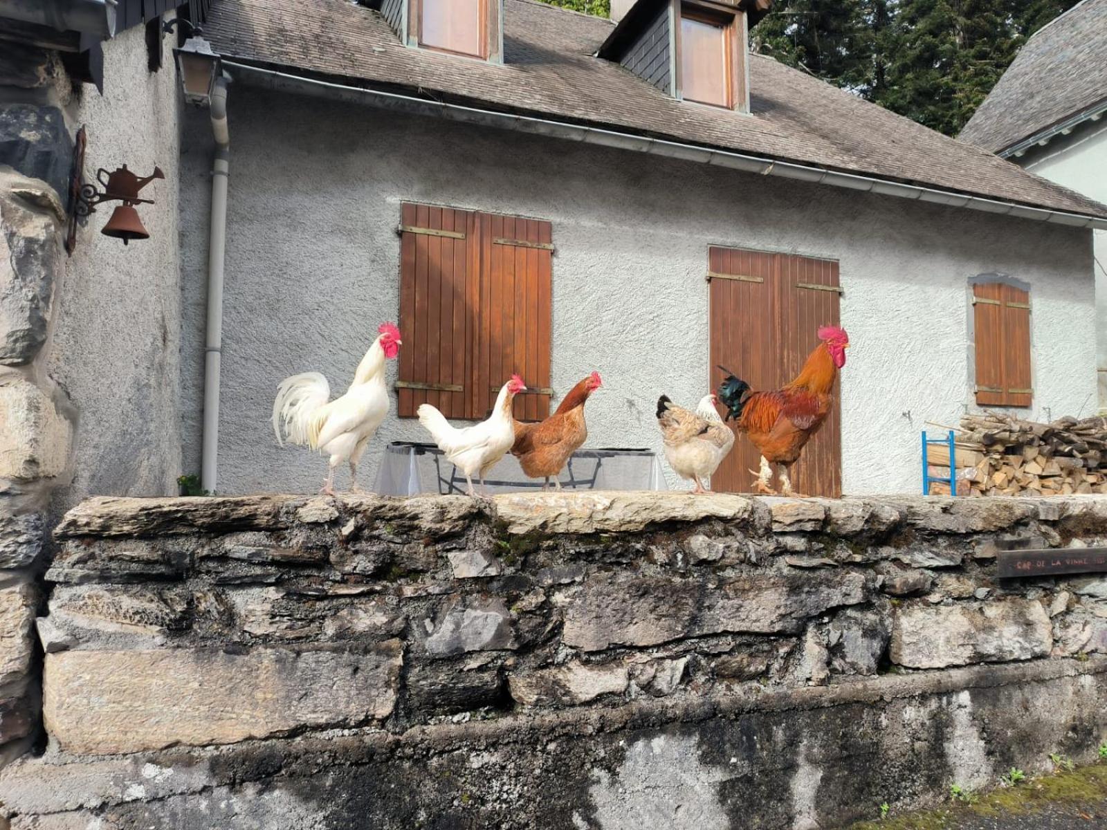 Château d'Arance Cette-Eygun Exterior foto